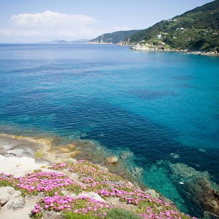 Hotel Gallo Nero SantʼAndrea المظهر الخارجي الصورة