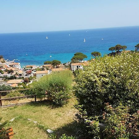 Hotel Gallo Nero SantʼAndrea المظهر الخارجي الصورة