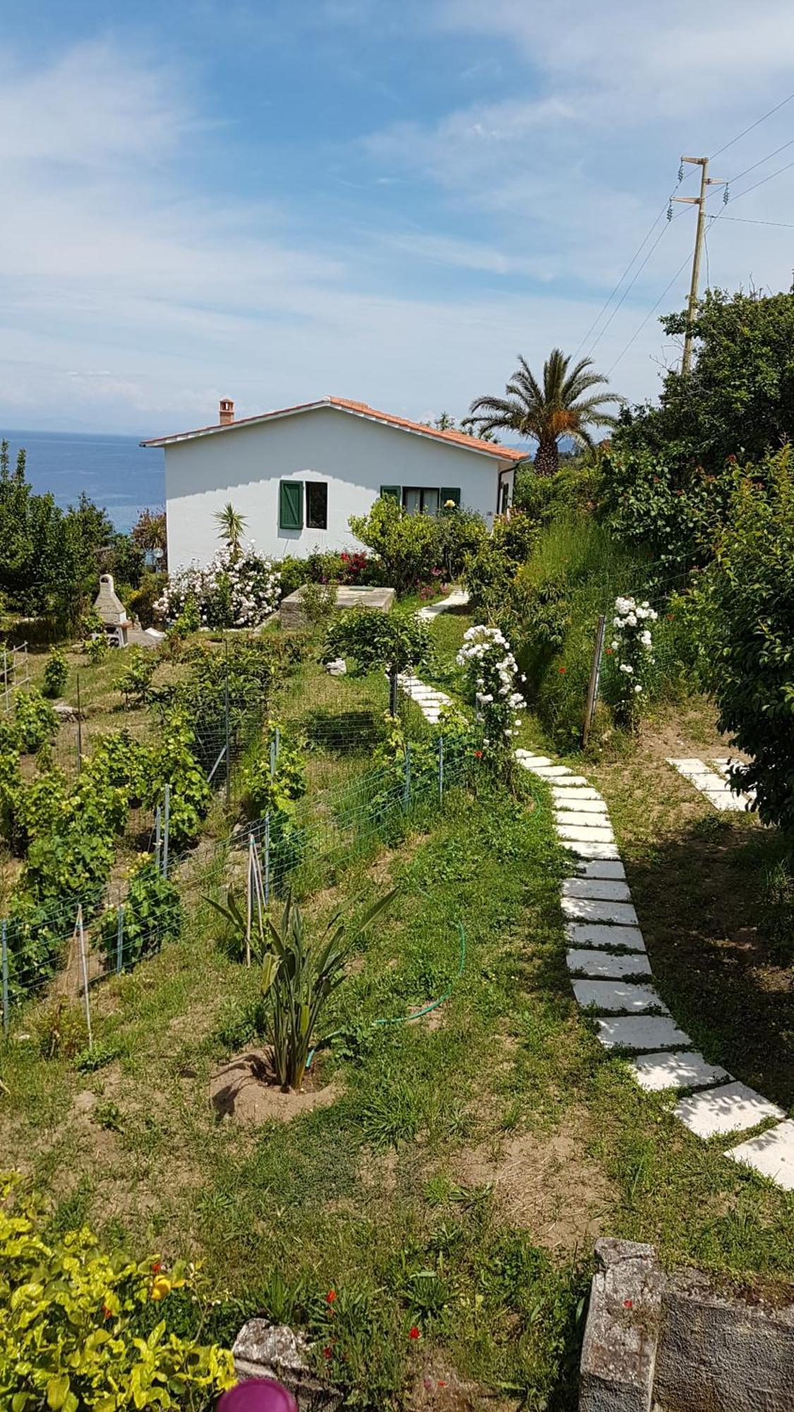 Hotel Gallo Nero SantʼAndrea المظهر الخارجي الصورة